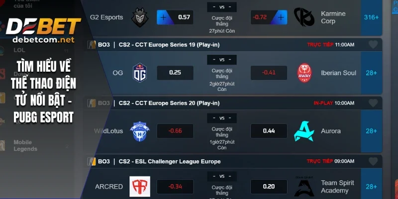 PUBG Esport